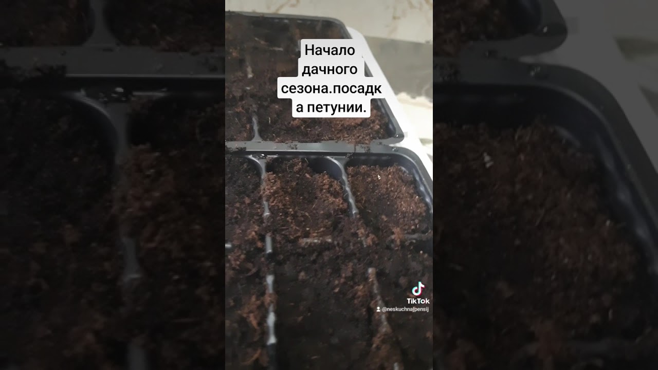 20 января 2026 г.
