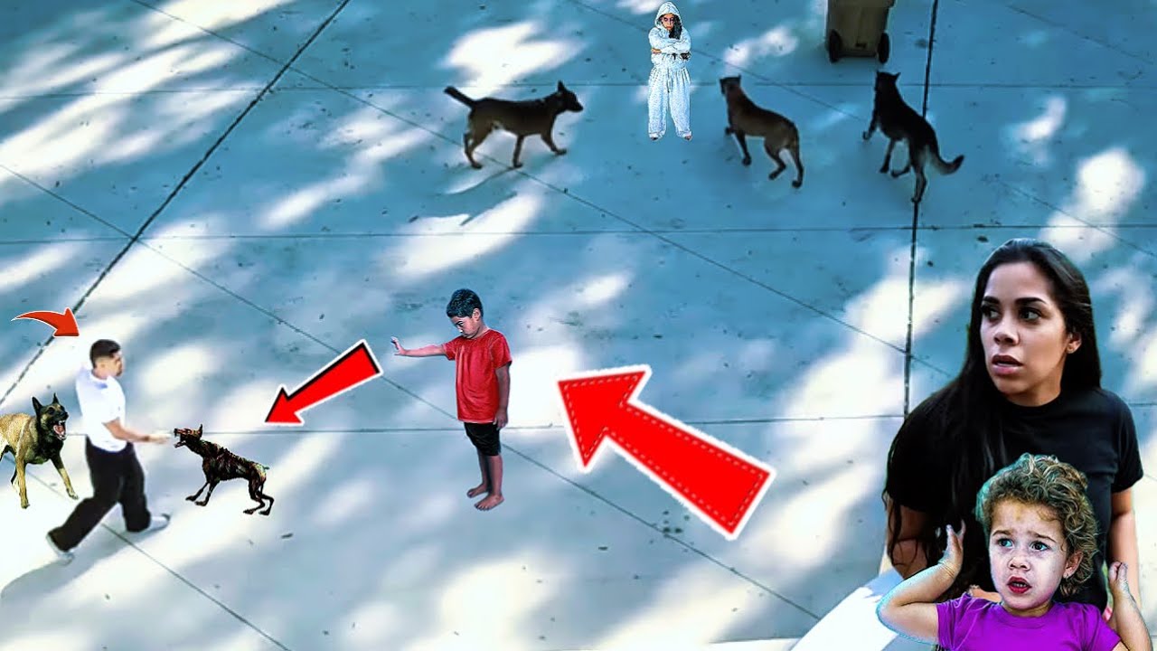 Zakayius Possessed Our Dogs & they are attacking us 😨