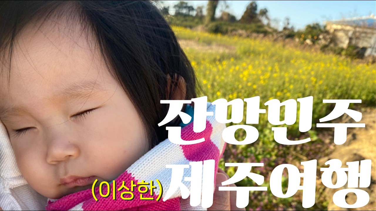 유채꽃밭에서 잠들어버린 민주🌼 제주 3일 여행 브이로그