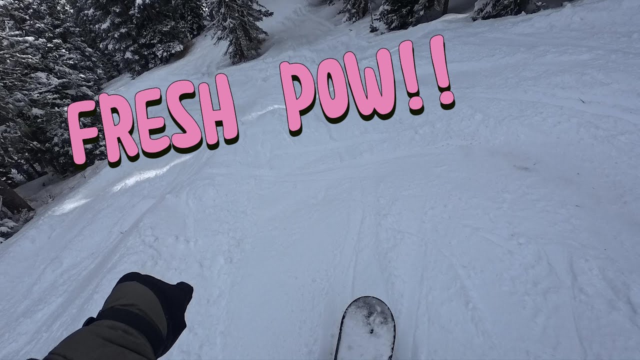 Powder Days are Best Days