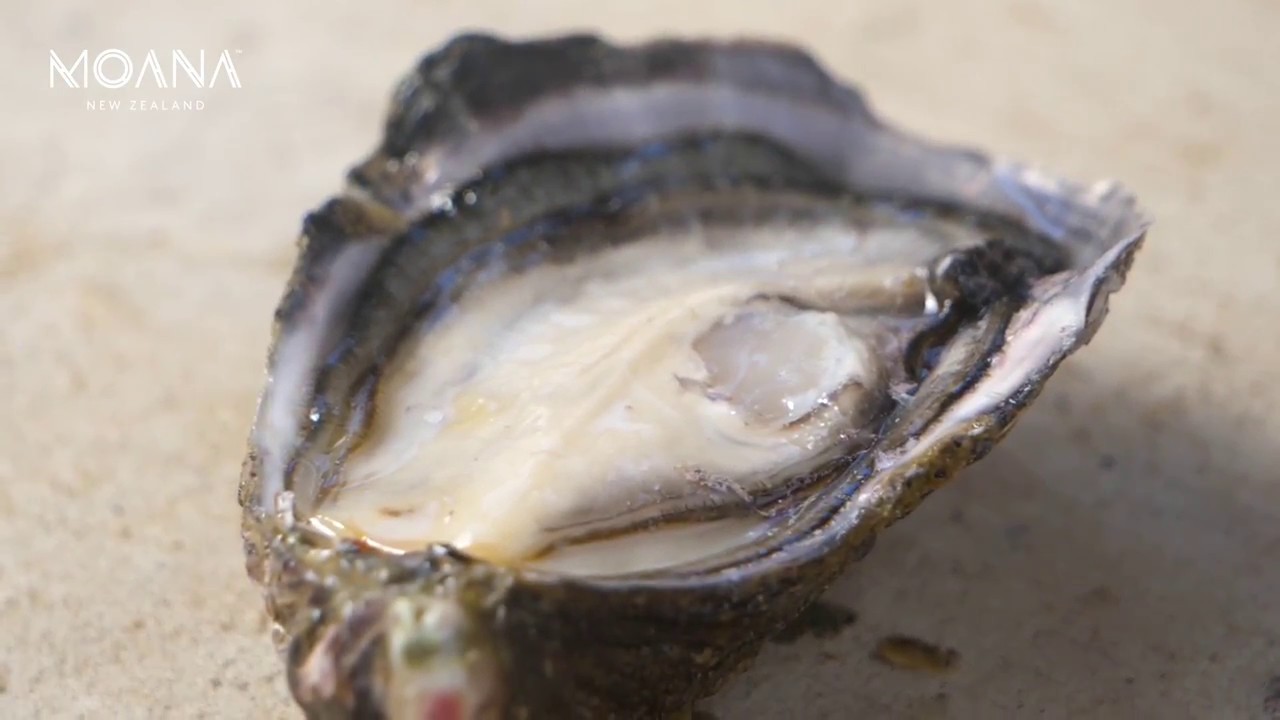 How does Moana New Zealand grow Pacific oysters?