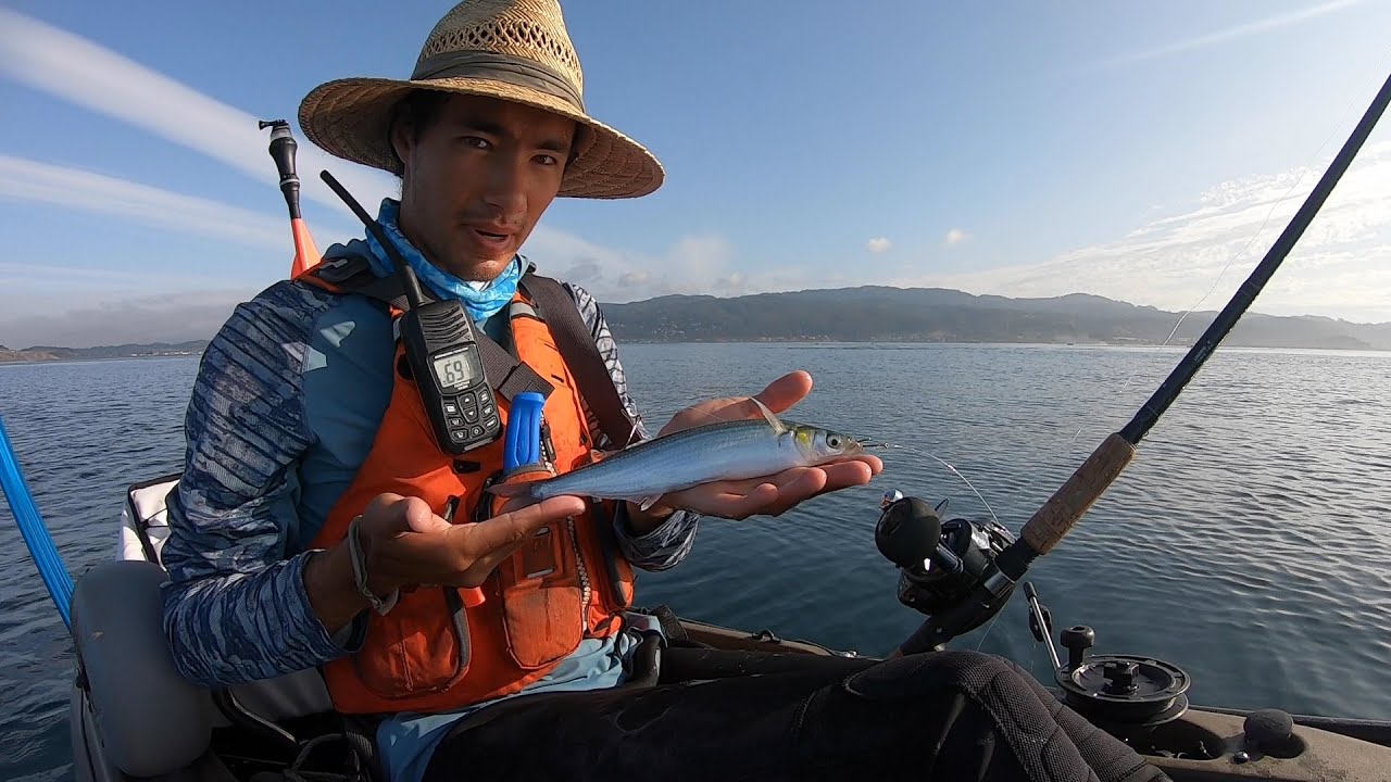 Using the MOST HATED FISH of All Time as Bait (And Catching Big Fish with It)