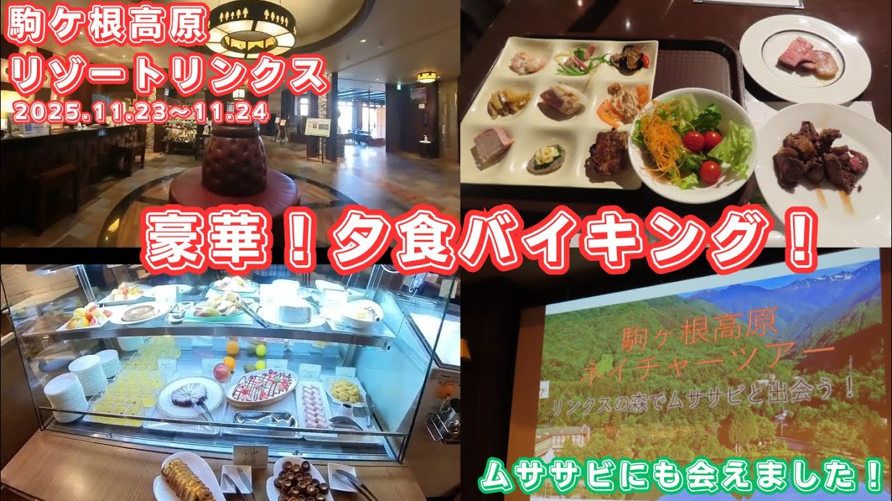 【駒ヶ根高原リゾートリンクス】第360回コスパ最高！木曽駒ヶ岳登山の前泊、後泊にオススメ！ムササビに会えるホテル・駒ヶ根高原リゾートリンクス宿泊記（2025.11.23～11.24）