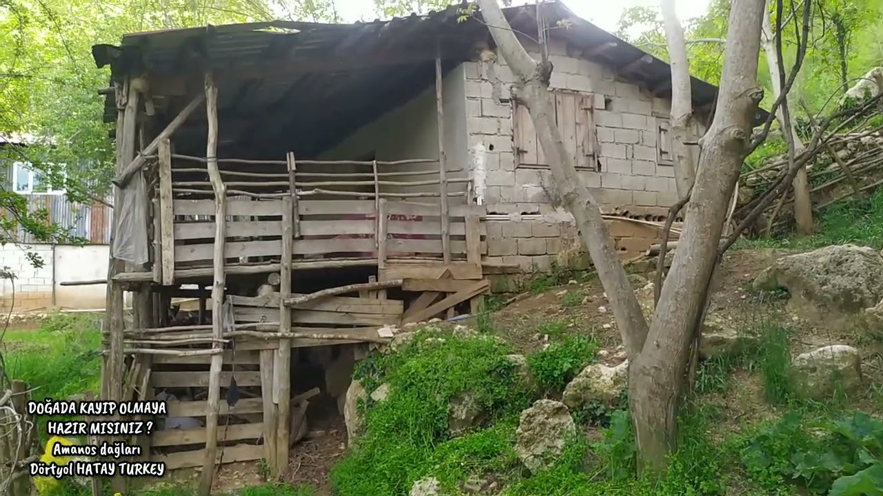 DOĞADA KAYIP OLMAYA HAZIR MISINIZ? Amanos dağları Kuzuculu DÖRTYOL HATAY TURKEY