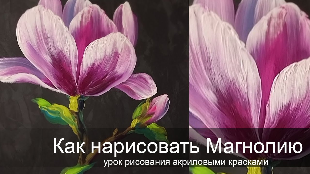 Как просто нарисовать Магнолию/ Рисуем с любовью/Рисование для начинающих