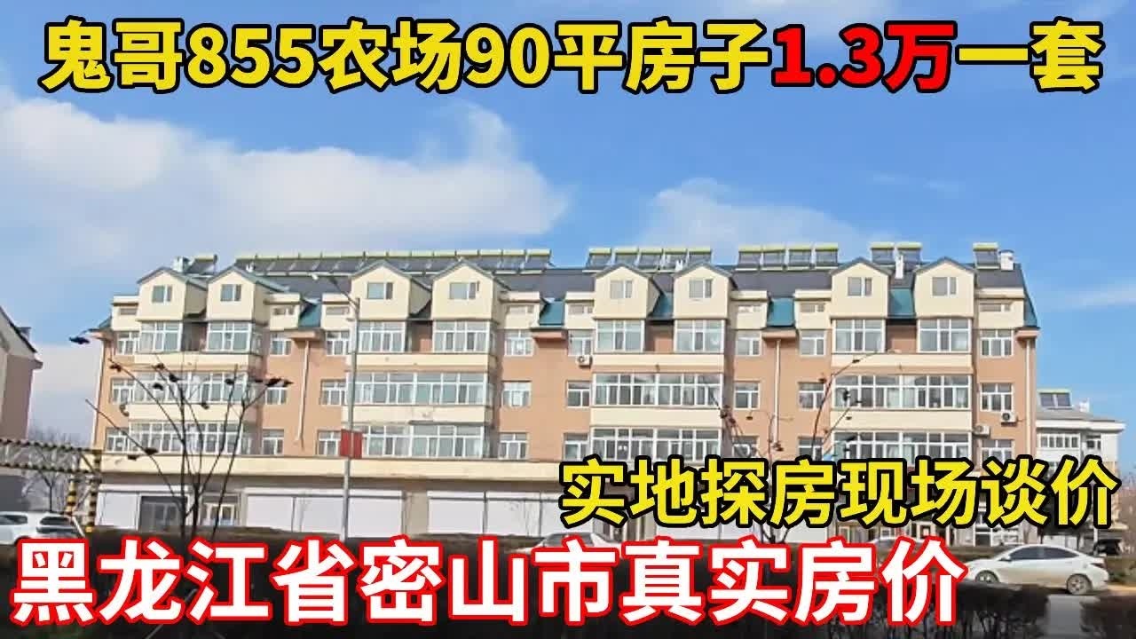 90平房子13万？鬼头实地探密山855农场，这房价到底藏着啥门道？【鬼头看房】
