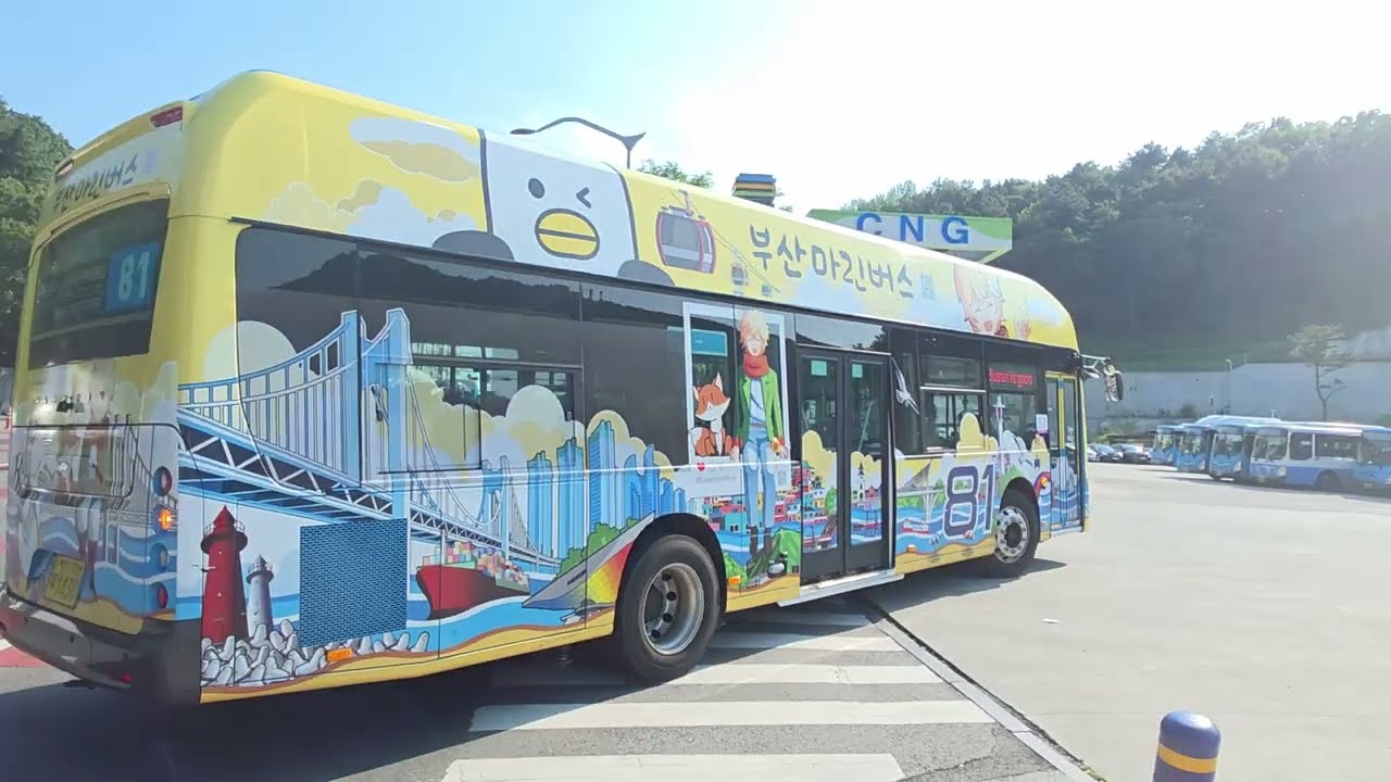 2025 부산마린버스 81번 (서면역,서면지하상가 ~ 연제공영버스차고지)