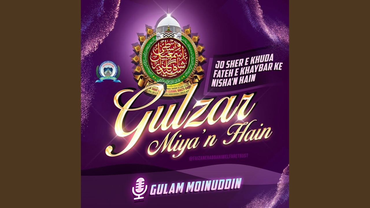 Gulzar Miyan Hain
