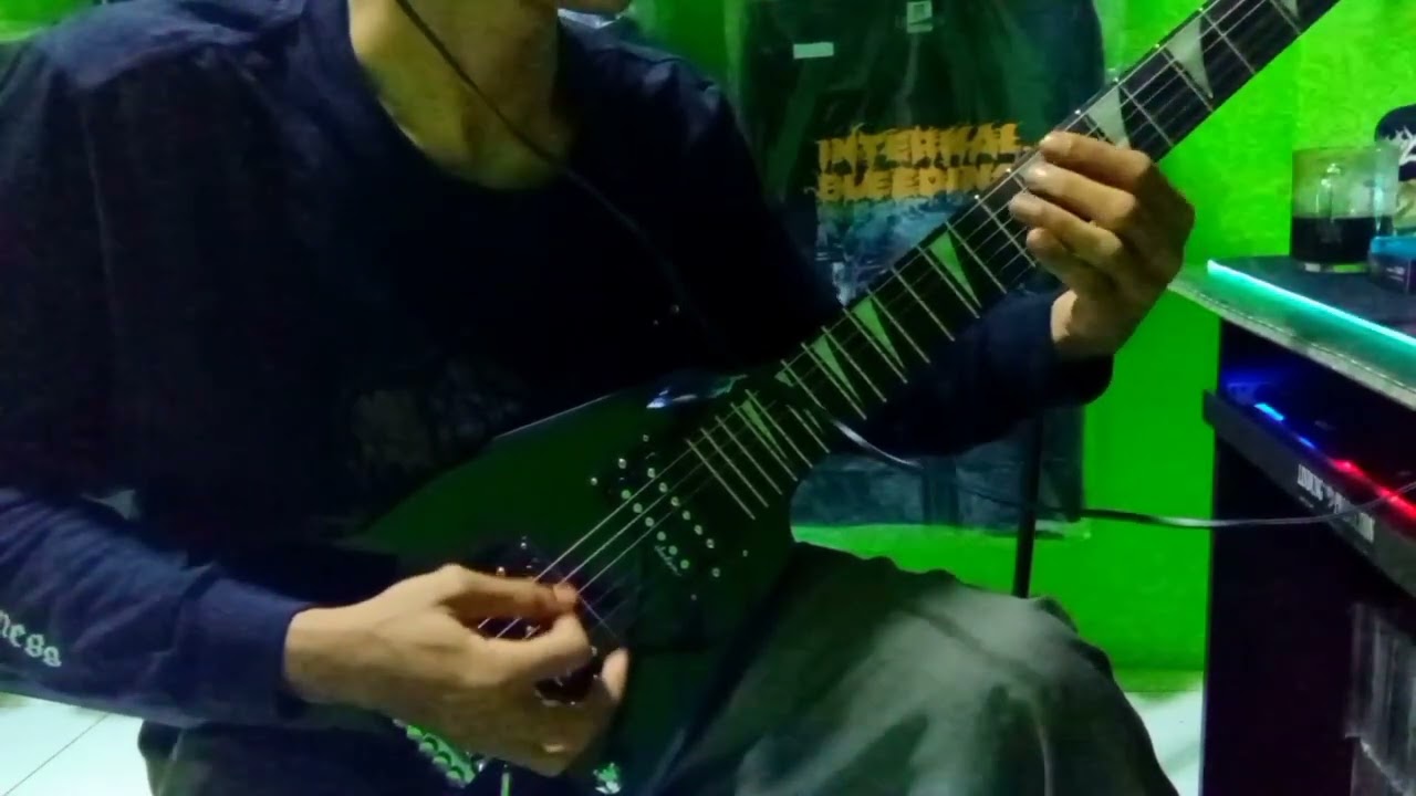 Pure Wrath - Homeland ( Guitar Playthrough Cover )