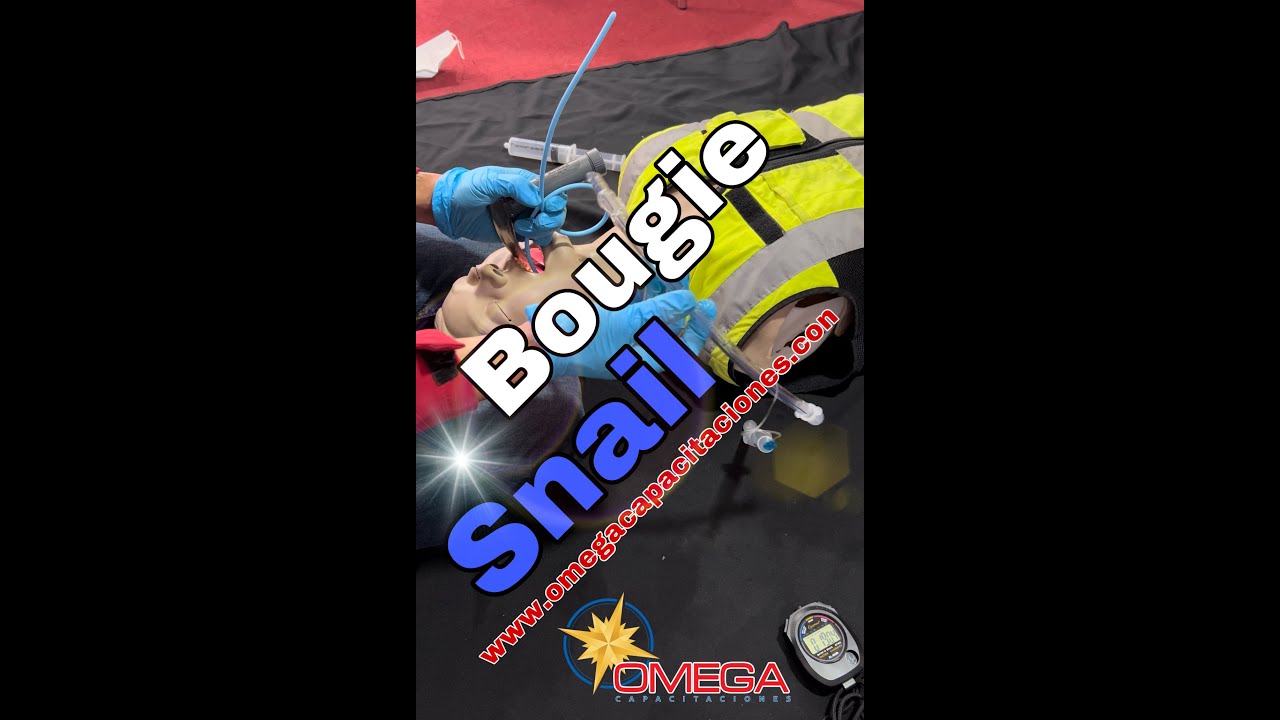Bougie Snail Omega Capacitaciones
