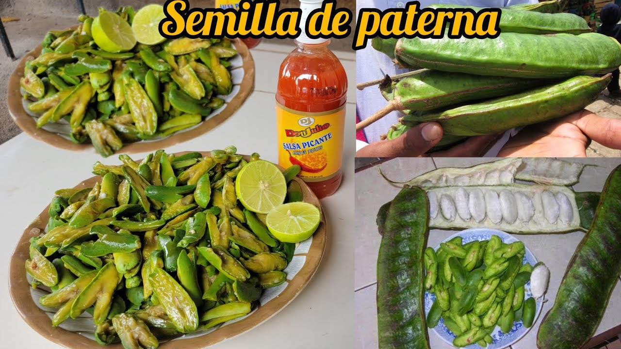 COMO COCINAR 