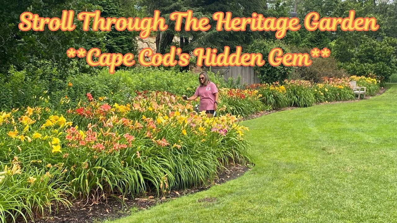 Cape Cod's Hidden Gem**The Heritage Garden Tour Blossoms & Beauty🌸