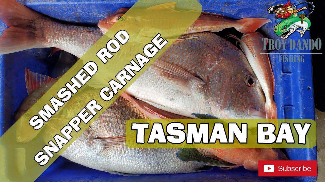 Snapper Breaks Rod