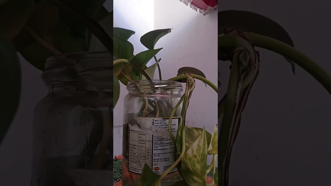 Siguiendo rutas argentinas Viajes está en vivo