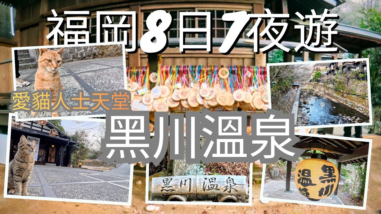 【福岡8日7夜自由行vlog】新手必去景點＋必吃美食全攻略 Day5 黑川溫泉貓咪之旅！滿街都是貓？?溫泉街裡的貓星居民與最療癒的日式旅宿散步隱世山中溫泉小鎮