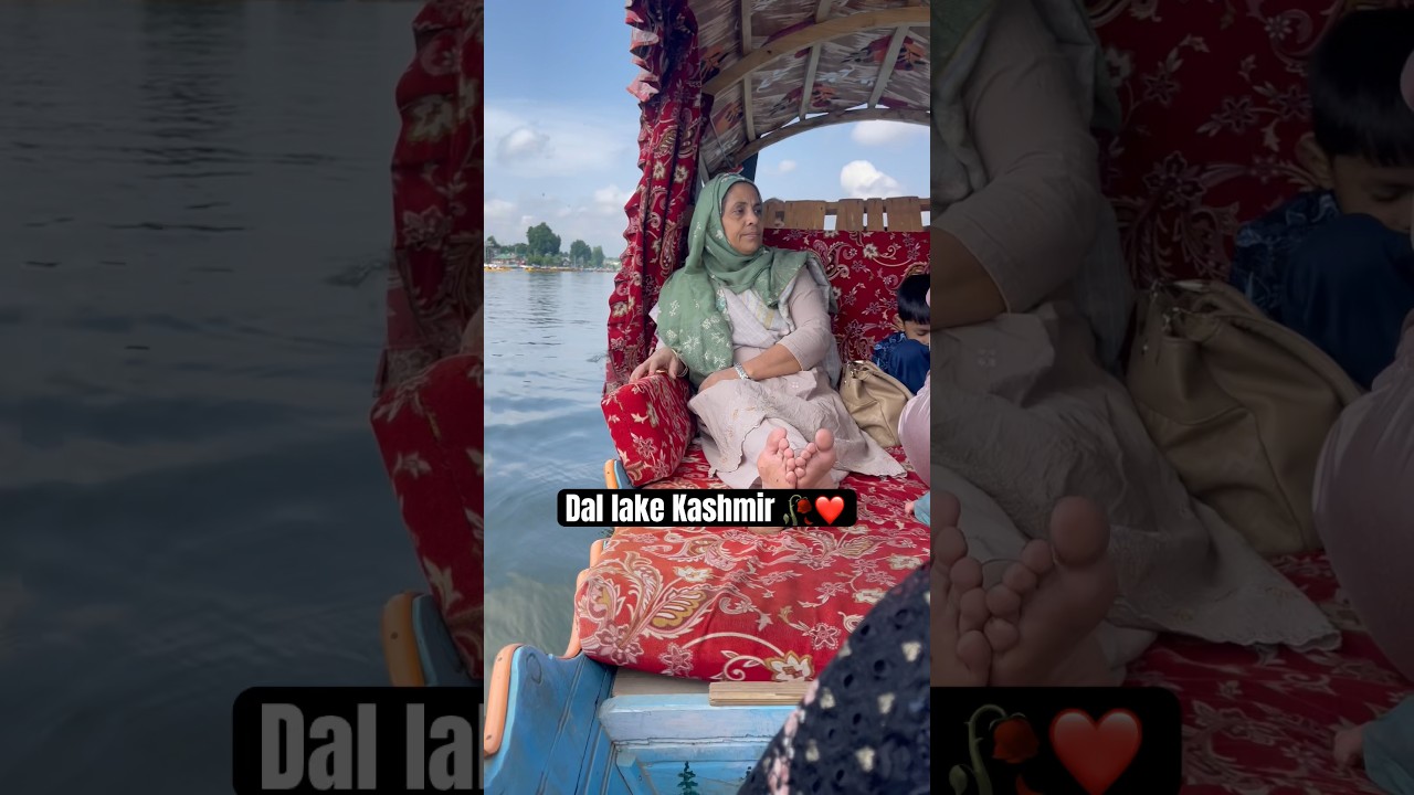 Dal Lake Kashmir ❤️🥀#dallake #dallakesrinagar #kashmir #kashmirvalley #kashmirtourism #shorts