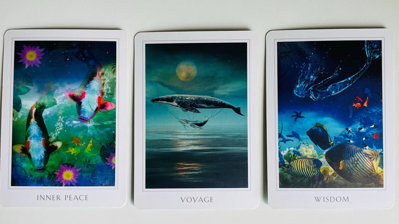 What You Don't See Coming - Pick a Card - Timeless Tarot
