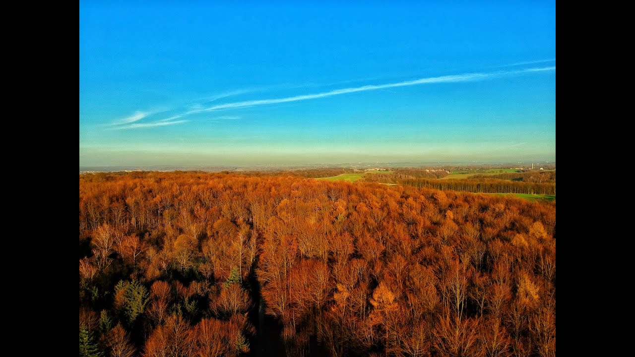 DJI Spark - Grafenberger Wald