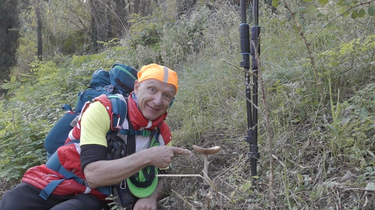 Trekking 14 km ad anello Bertinoro -Polenta -Collinello -Cipresso Francesca- monte Maggio 15-11-2025
