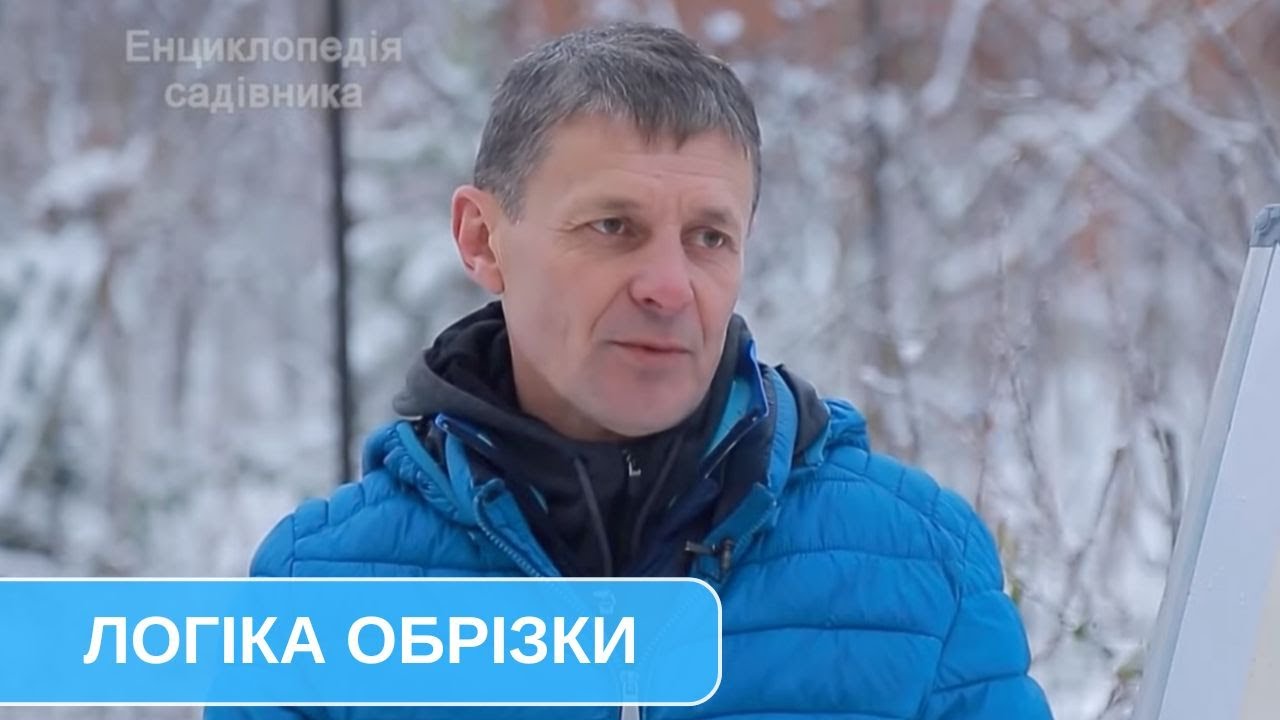 З чого починати обрізку дерев. На що дивитися підійшовши до дерева?