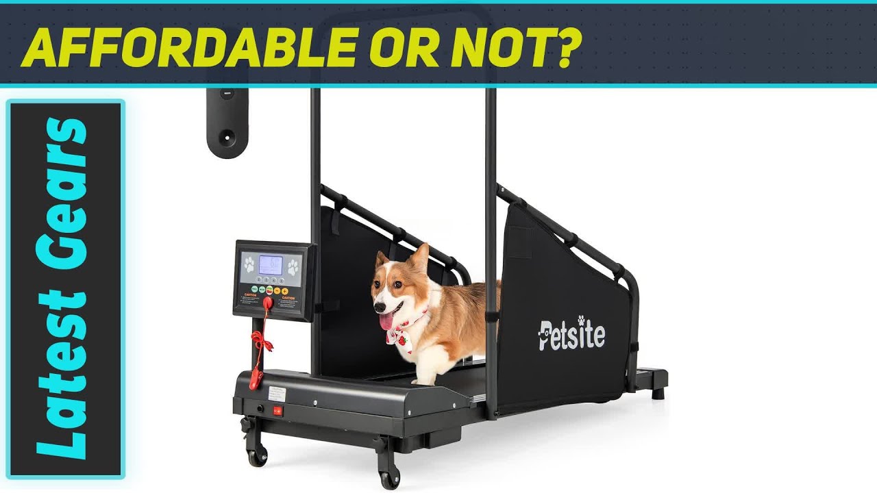 Petsite Dog Treadmill: Best Budget Option for Small Breeds