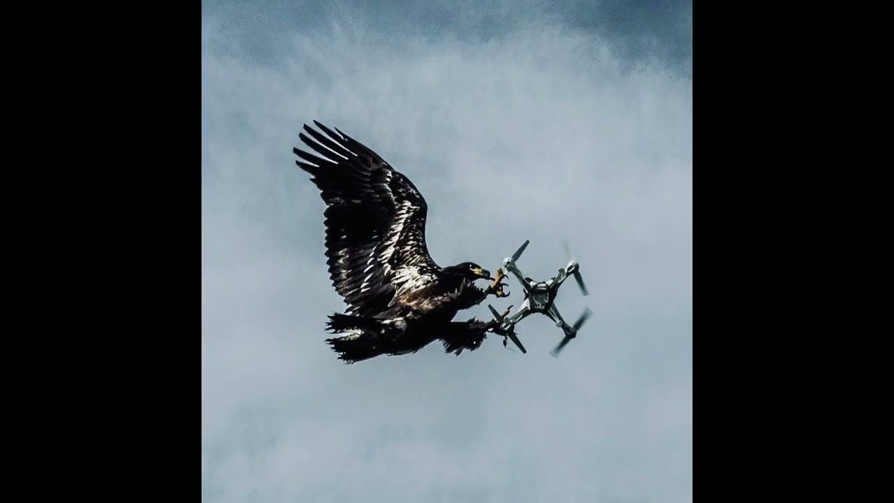 [Free For Profit] Young Thug x Lucki Type Beat “Aerial Views”