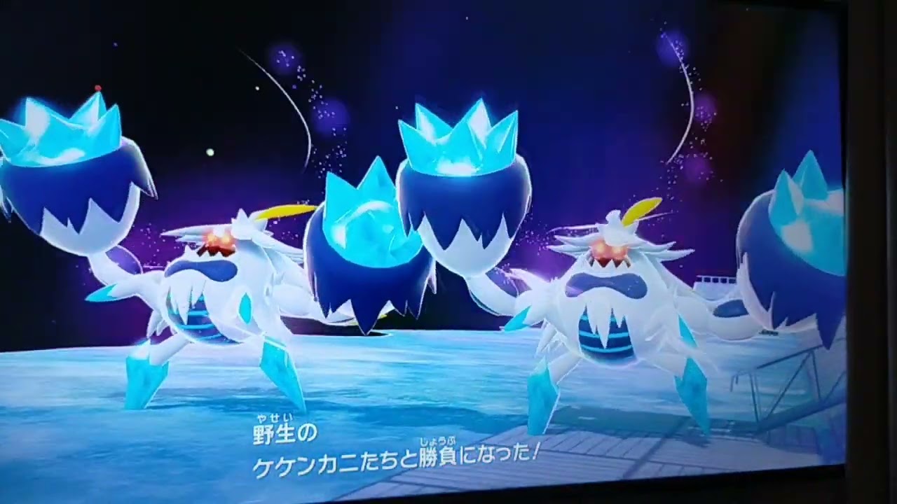 2026年1月31日