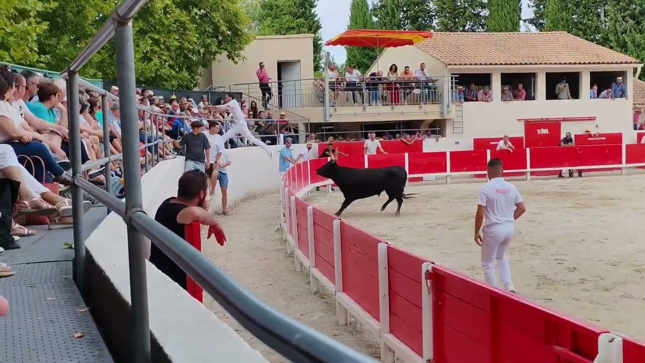 Résumé de la superbe Course Avenir Noves du 31.8.25 🐂🥳🤩