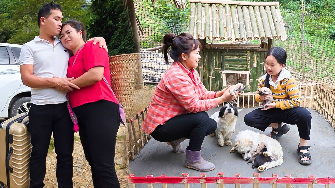 Love and sacrifice; Ly Tu Nga completed a pet playground right in the middle of the farm@lytunga90