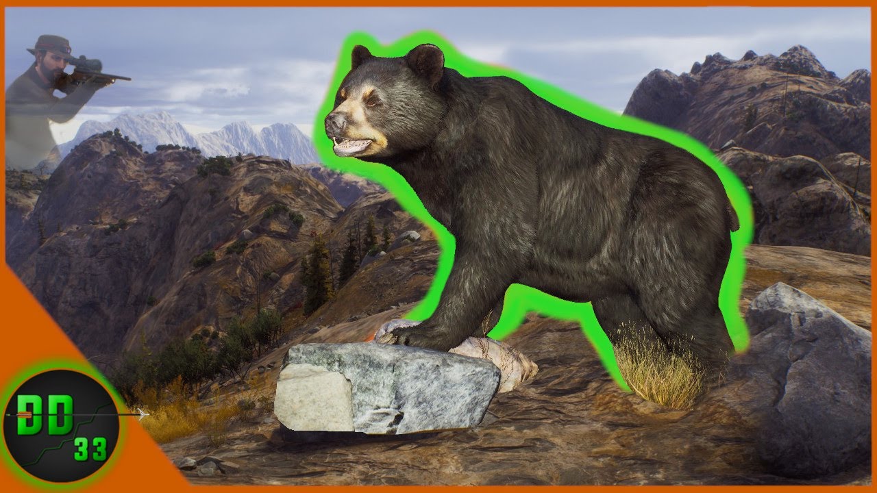 Our BIGGEST BEAR Ever!  Way Of The Hunter