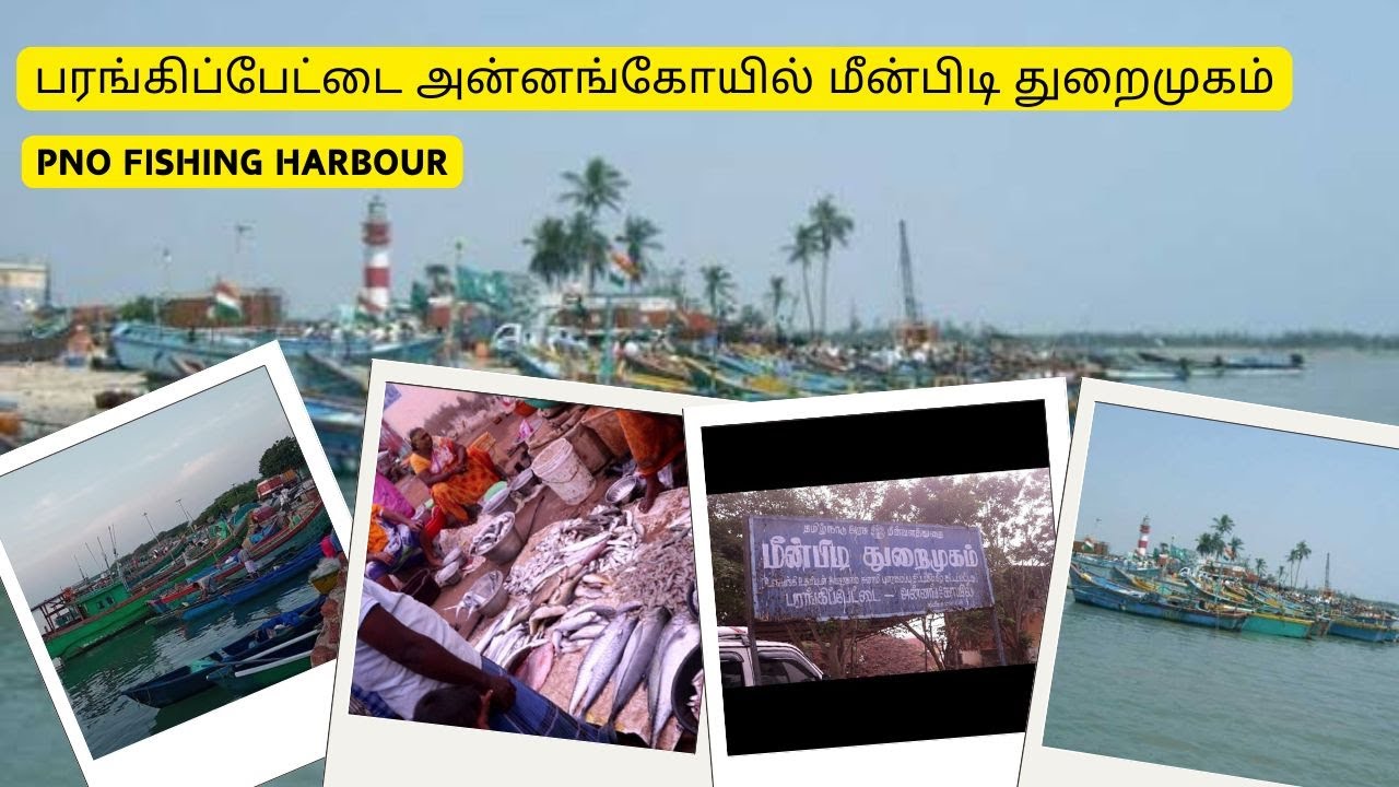பரங்கிப்பேட்டை மீன்பிடி துறைமுகம் | Fishing Harbour I Portonovo I Tamil #parangipettai