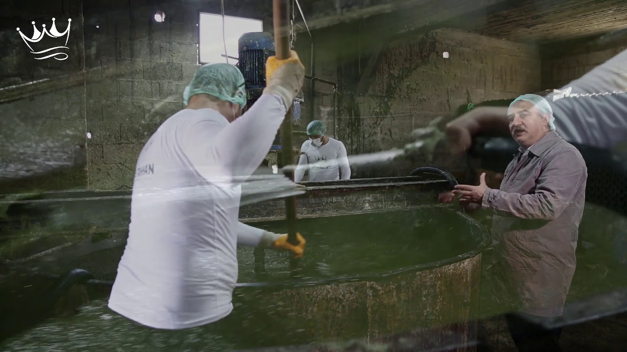 History of manufacture of Laurel Soap (El-Tahhan)