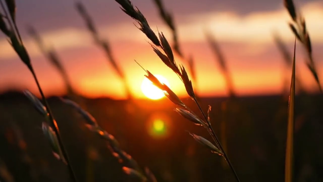 Italian Retro Instrumental 🇮🇹 | Calm 80s Music for Night & Relaxation