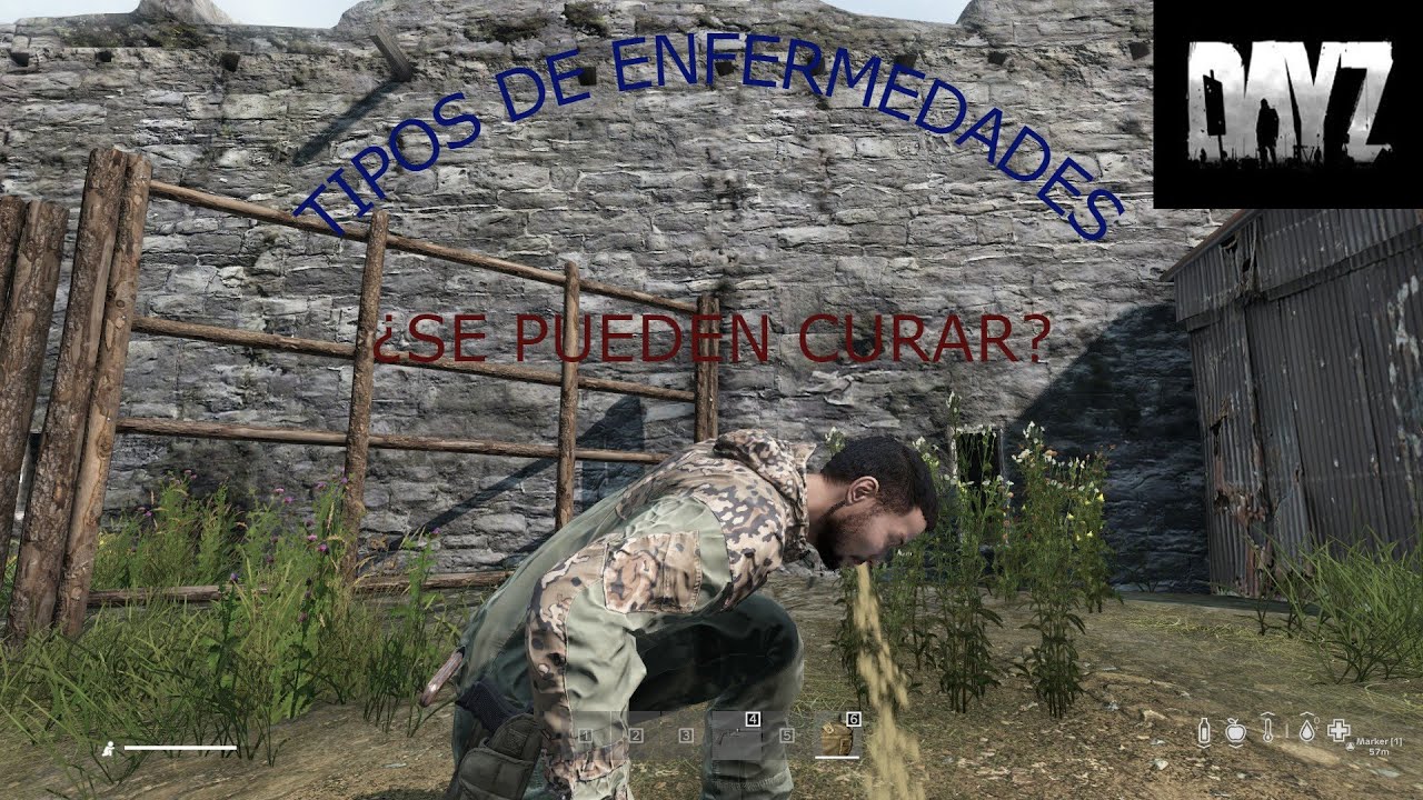 DAYZ TUTORIAL #14: TIPOS DE ENFERMEDADES Y COMO TRATARLAS