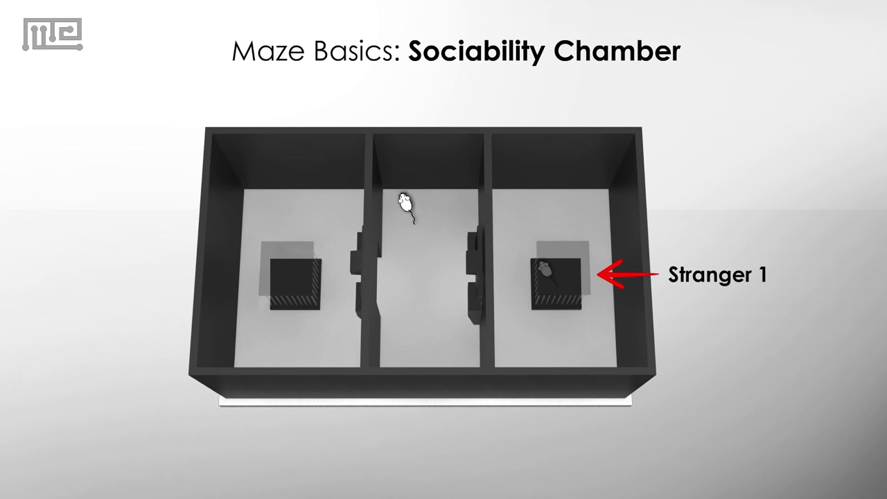 The Sociability Chamber: A Test of Social Approach