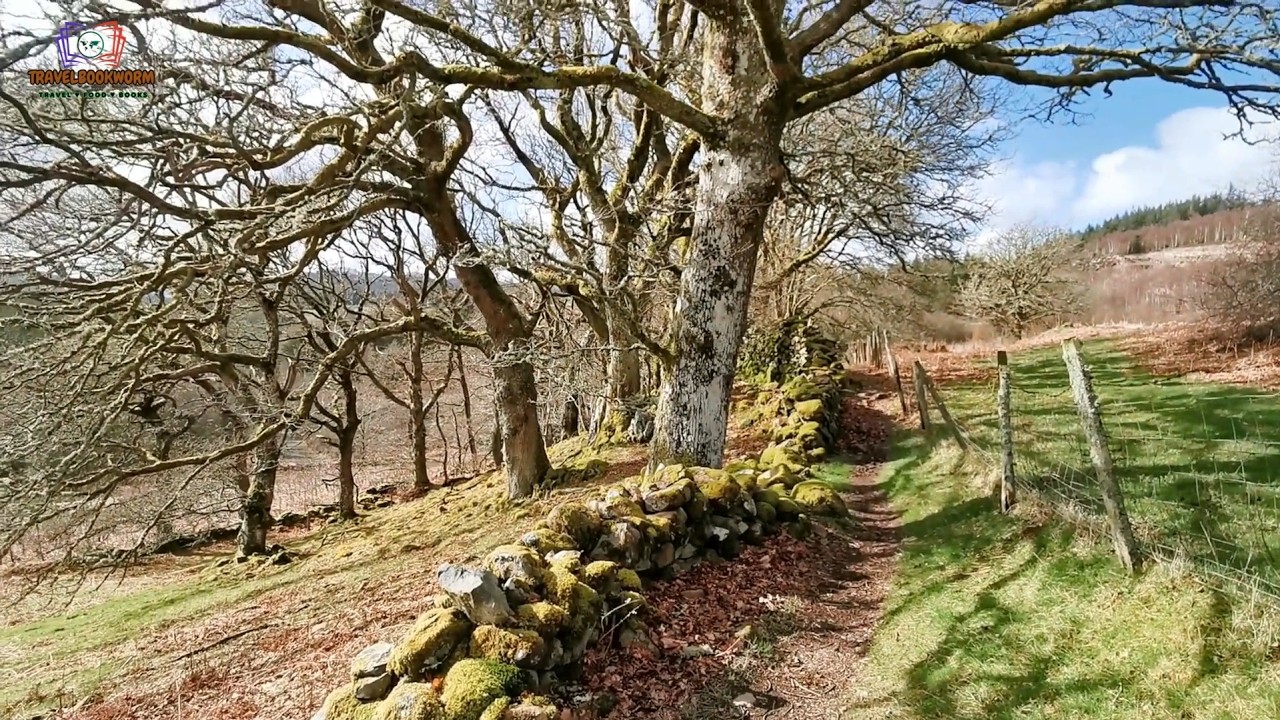 Betws-y-Coed | Pen Yr Allt Trail
