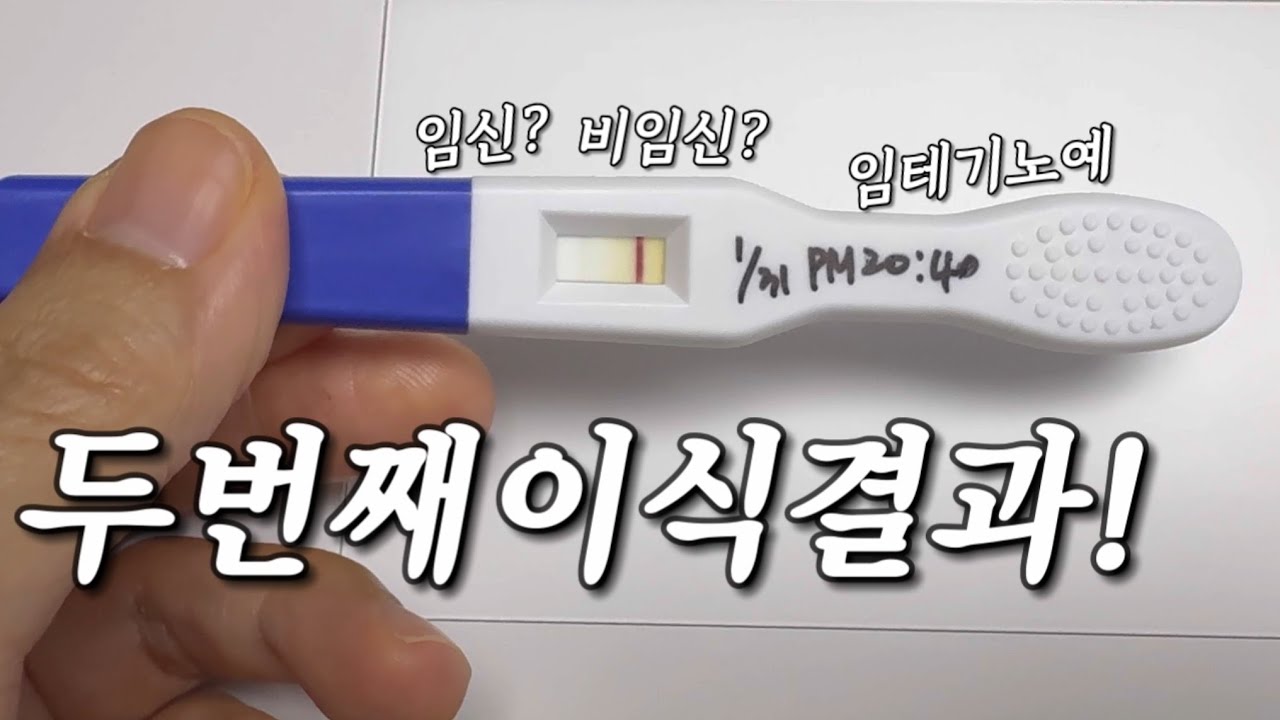 시험관 2차 이식결과 | 임테기 노예 | 피검사결과 