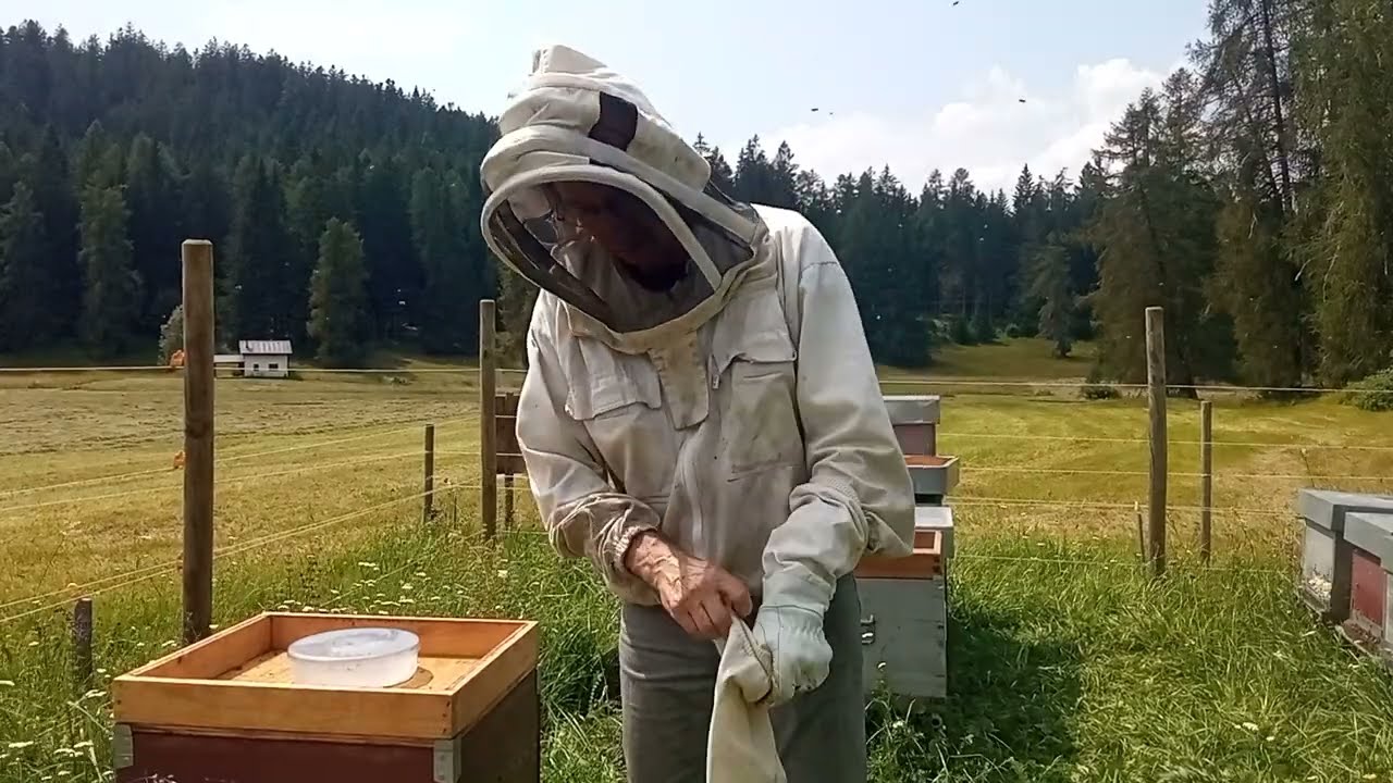 Quanto miele nel nido? Non siate avari: il benessere delle api dipende anche dall'alimentazione...