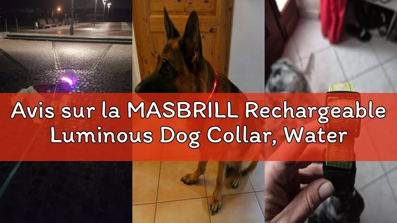 Avis sur la MASBRILL Rechargeable Luminous Dog Collar, Waterproof and Adjustable LED Dog Collar, 3 L