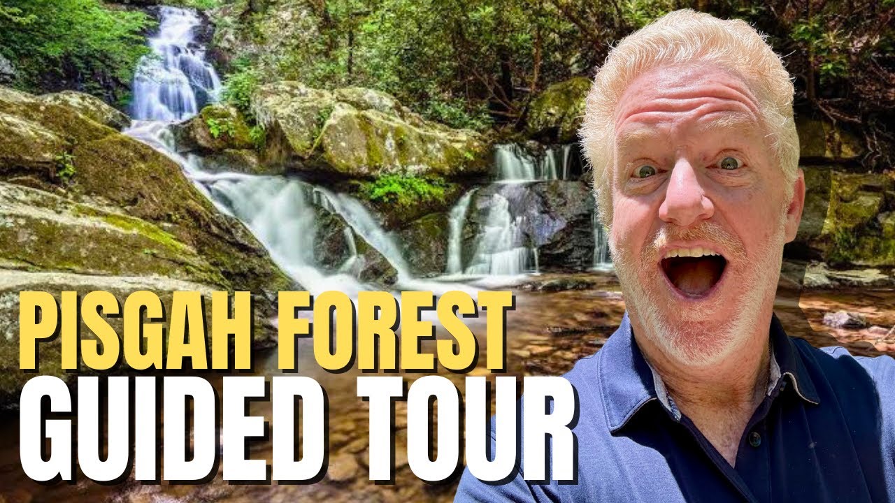 Living in Brevard NC: Western North Carolina Lifestyle & Things to Do in Pisgah National Forest