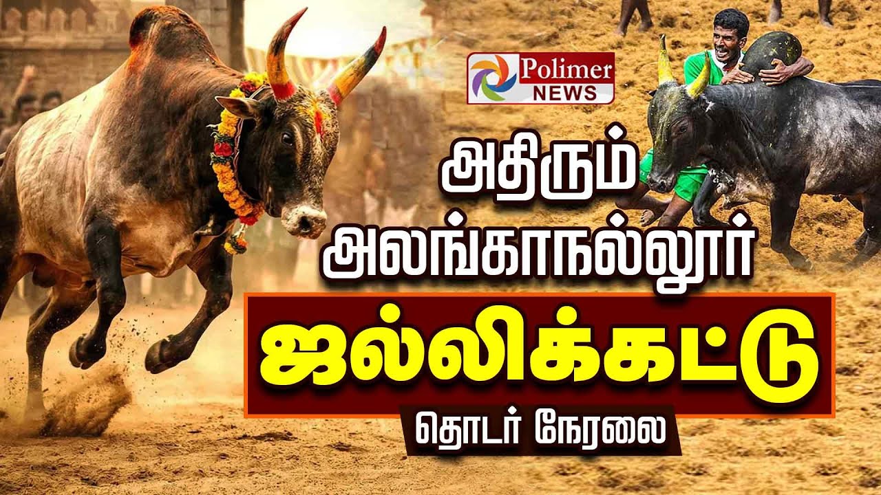 Alanganallur Jallikattu 2026 | அதிரும் அலங்காநல்லூர் ஜல்லிக்கட்டு | Madurai Jallikattu நேரலை