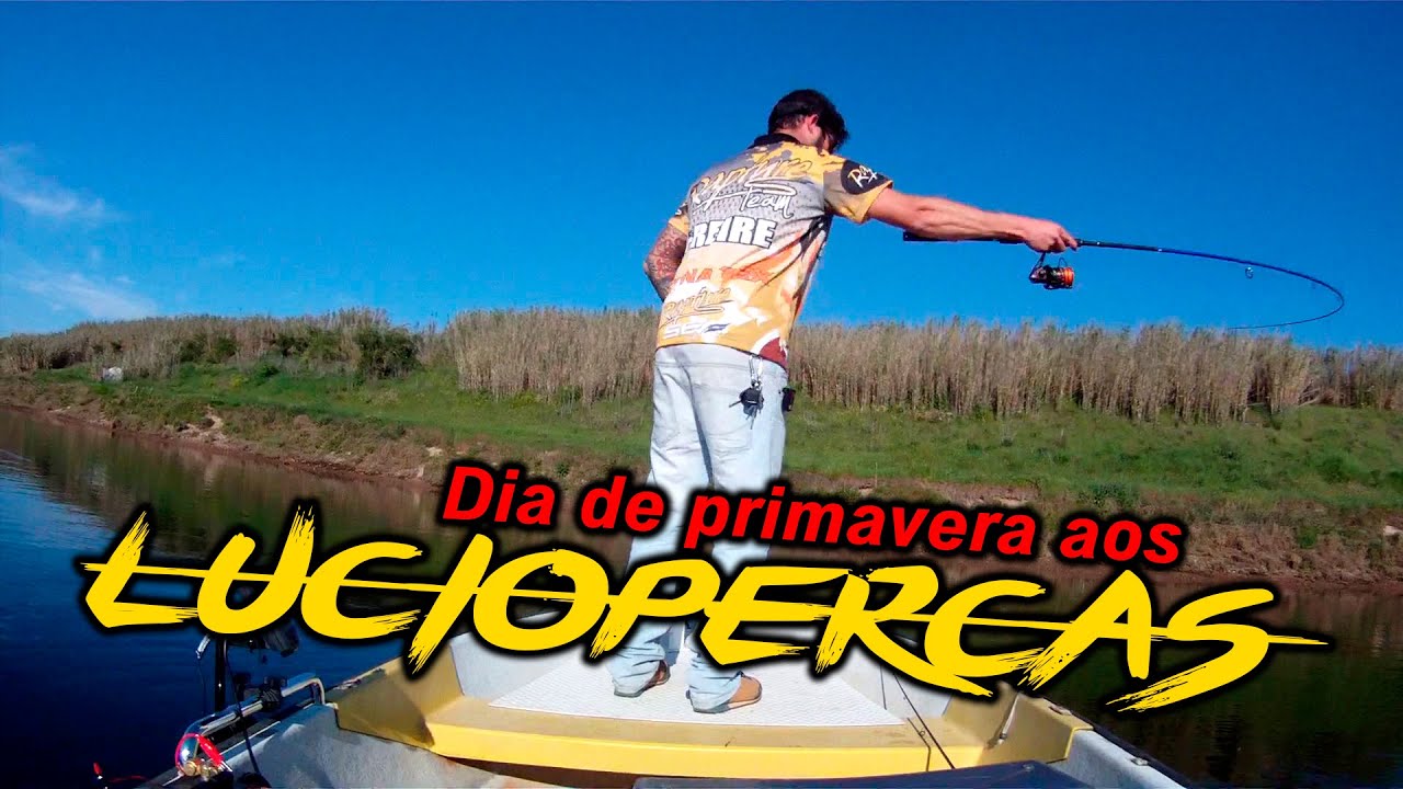 Zander Fishing no rio Tejo Lúcio Percas
