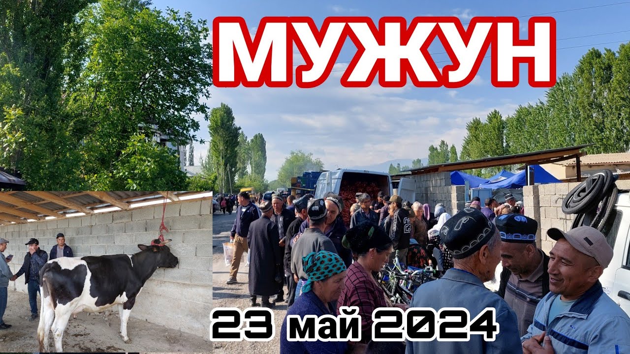 МОЛБОЗОРИ ДЕВАШТИЧ БАРОИ ШУМО !
