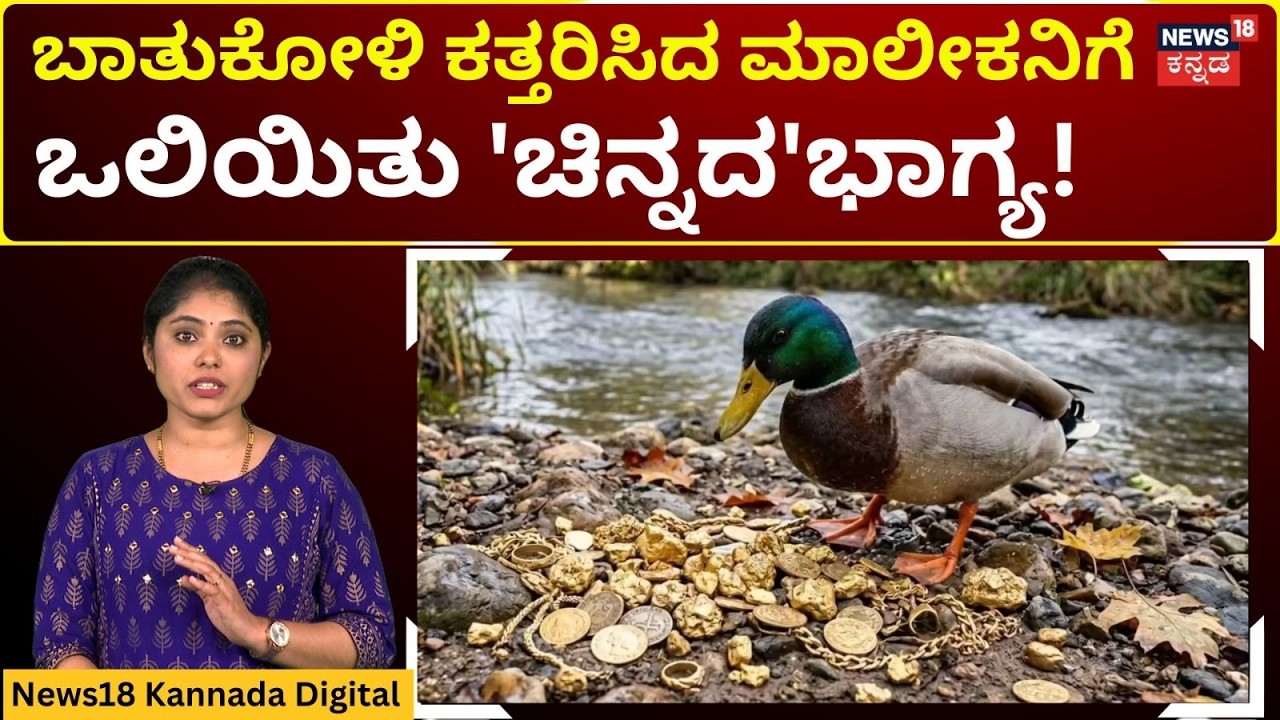 Man Finds Gold Worth Lakhs Inside Duck's Stomach | ಬಾತುಕೋಳಿ ಹೊಟ್ಟೆಯಲ್ಲಿತ್ತು ಲಕ್ಷ ಮೌಲ್ಯದ ಚಿನ್ನ | N18G
