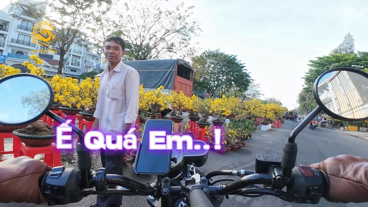 💥29 Tết_Chợ Mai Vành Đai Trong Bình Tân tồn hàng quá nhiều|Vùng Đất Rồng 