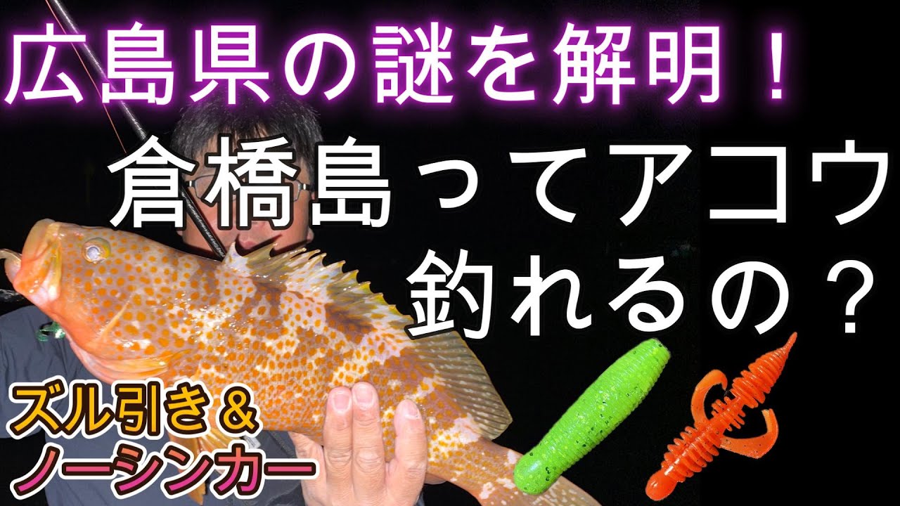 倉橋島・江田島・鹿島ってアコウ（キジハタ）釣れるのか？ズル引きとノーシンカー（イモグラブ、ファットイカ）で広島県の永遠の謎に挑む