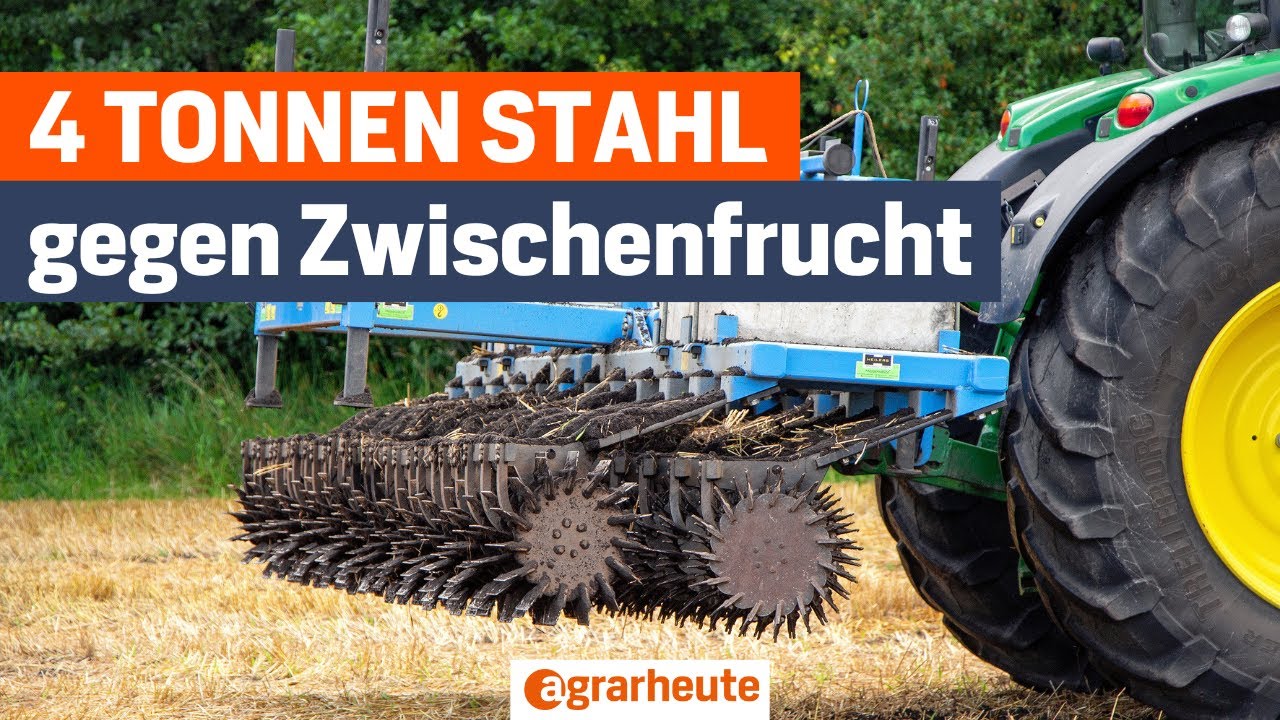 4 Tonnen Stahl gegen Zwischenfrucht: Heilers Messerwalze im Einsatz