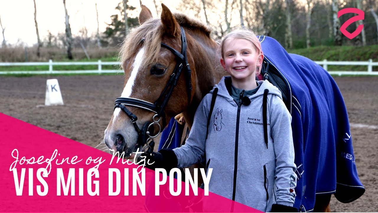🐴 Vis mig din pony: Viola og Lotte 🐴
