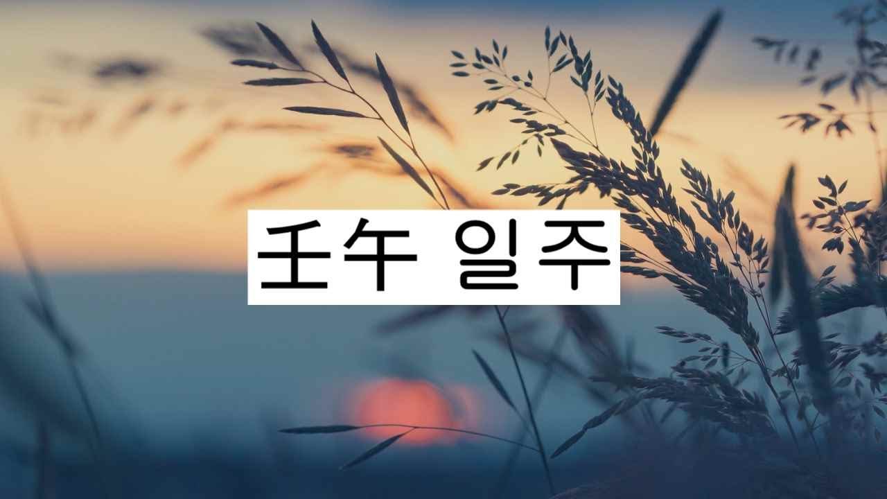 壬午(임오)일주-  지성과 현실감각을 함께 갖춰라(암합의 논리)