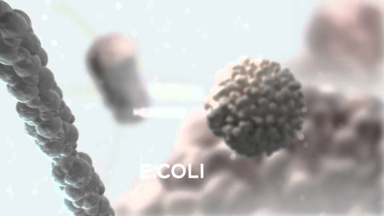 Terminix 2010 / TVC 'Roach'